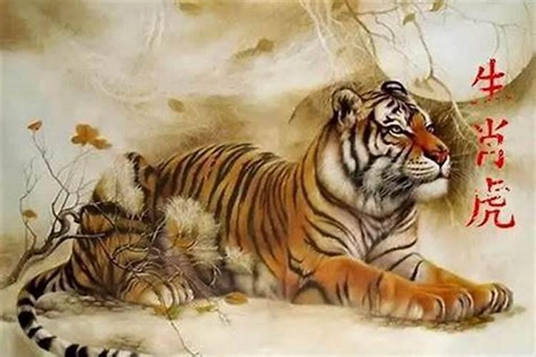 清明节生孩子属老鼠不好吗
