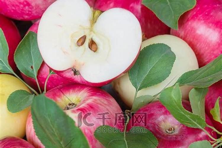 顺产会不会拉屎 应在分娩之前解决好大小便