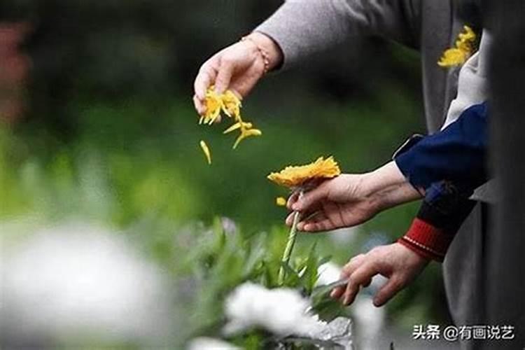 属猴的今年可以扫墓吗