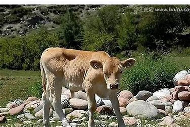 生一个孩子后堕胎2次会有什么因果报应