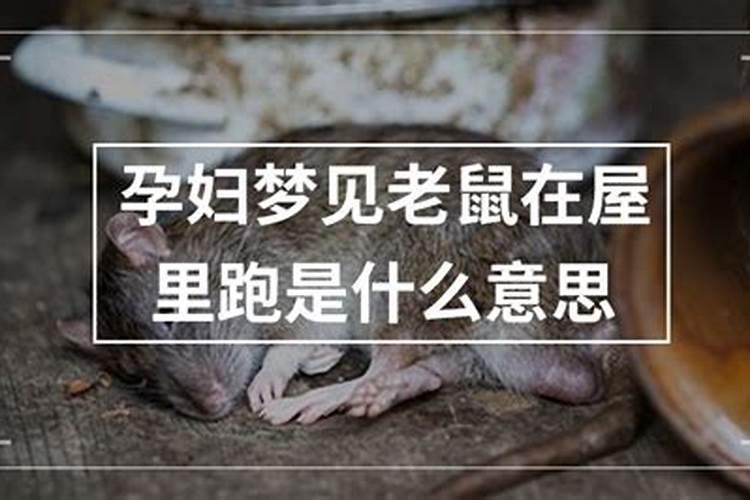梦见老鼠跑了有什么预兆？是什么意思？