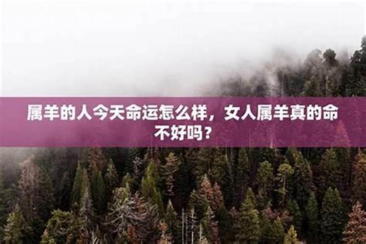 四大神兽谁是老大？