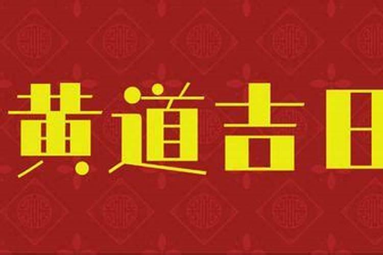 属龙十月初一出生命运