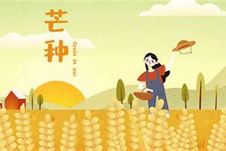 烈士陵园清明祭英烈流程