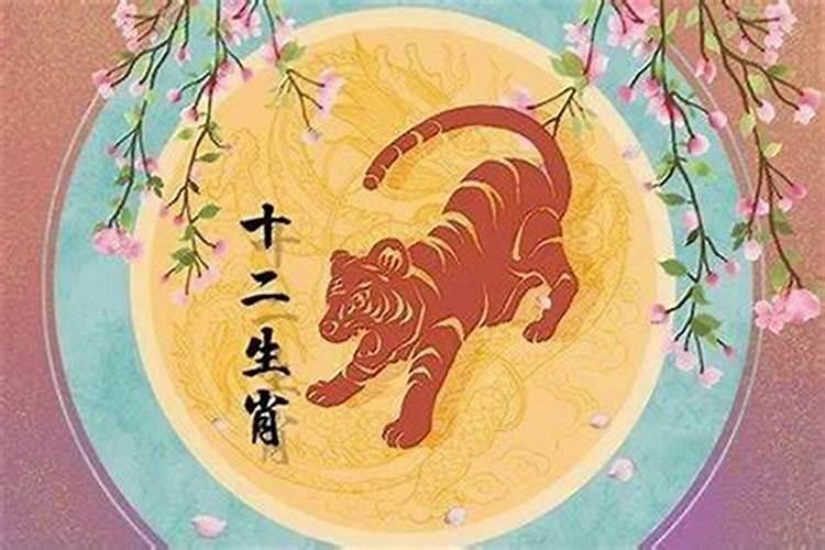 属鼠和属蛇的八字怎么样 六合吗？