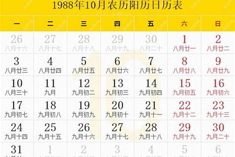 十一月出生的属猪人命运会如何