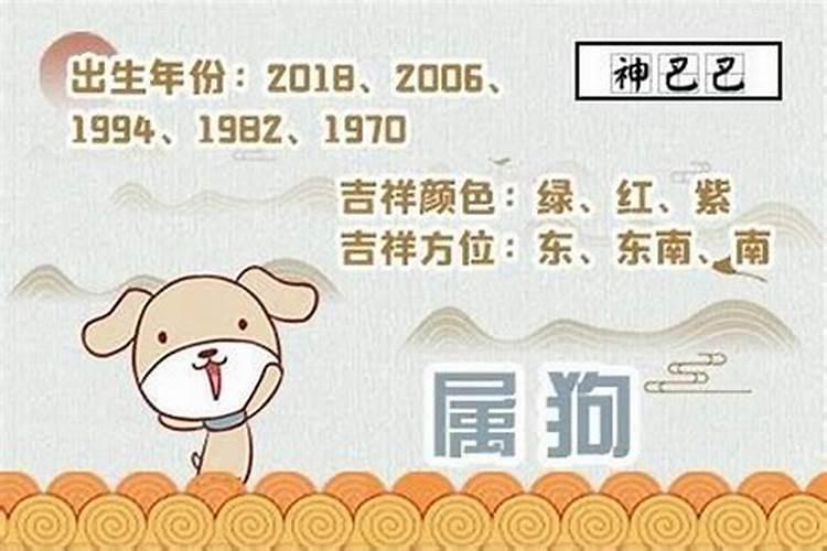 属狗人在2025年的运势如何？