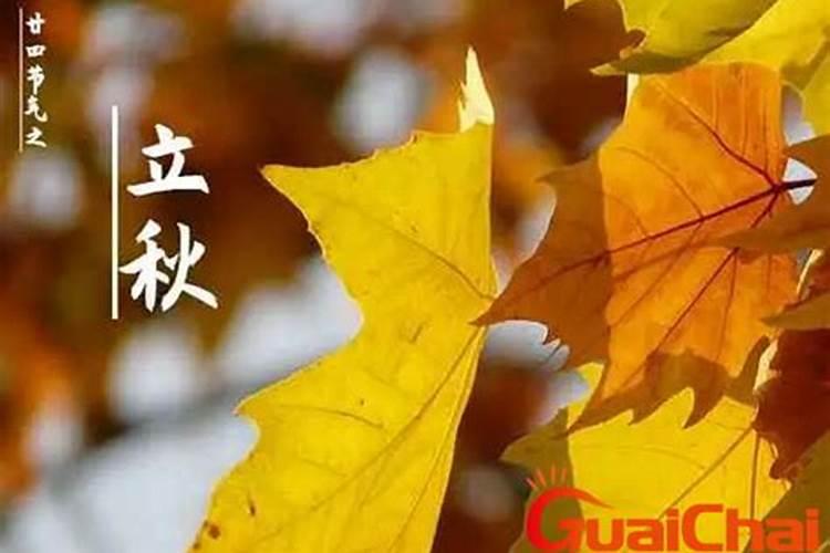 婚姻不幸福的星座