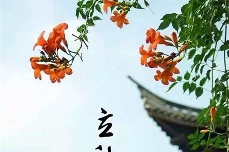 老公出轨了家庭风水会受影响吗？