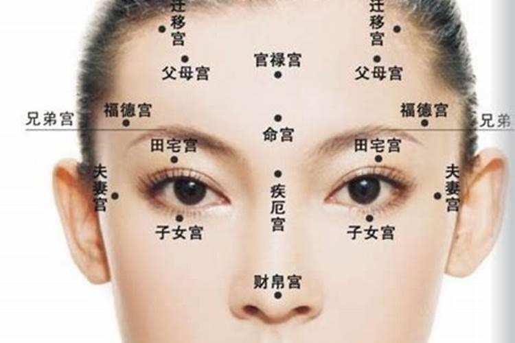 生肖虎2025年运势 属虎2025年运势及运程