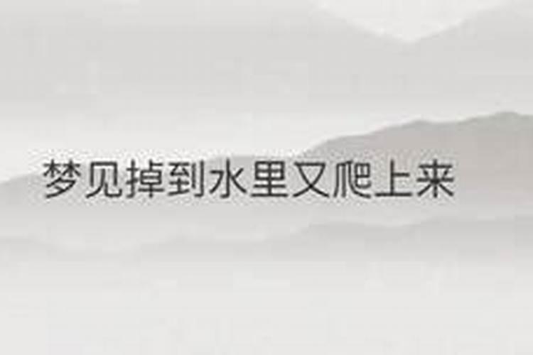 女人梦见被大狗追