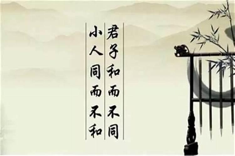 农历1984年11月24日出生的人今年财运如何