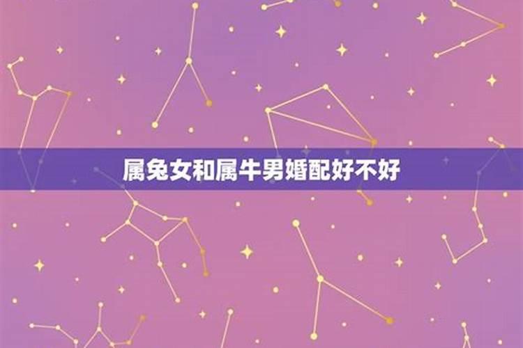 水命和金命的人合不合