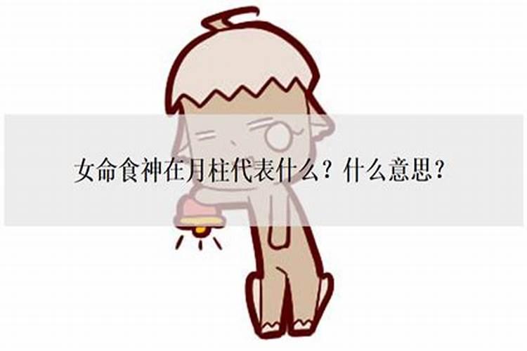 描述跳舞草的外观和特征