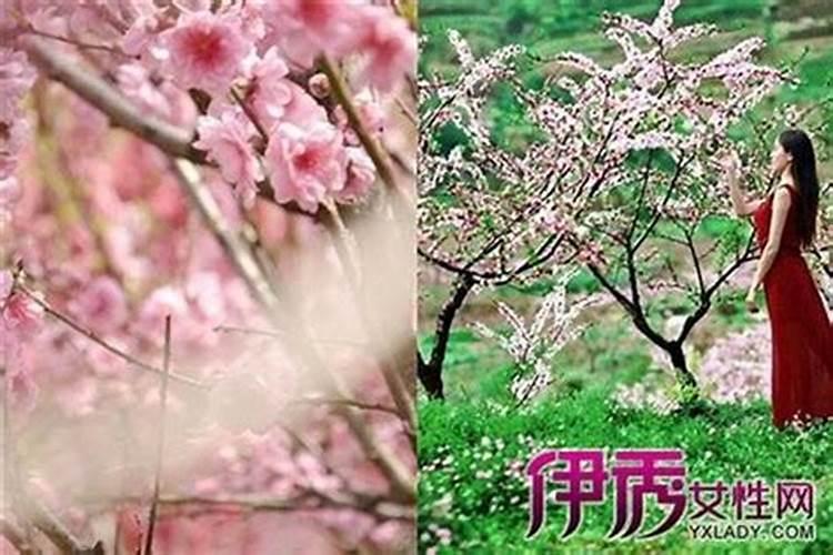 男人犯桃花劫如何化解 桃花煞如何消除