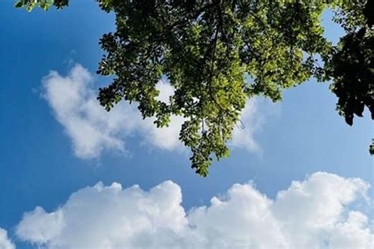 赞美春节的诗歌
