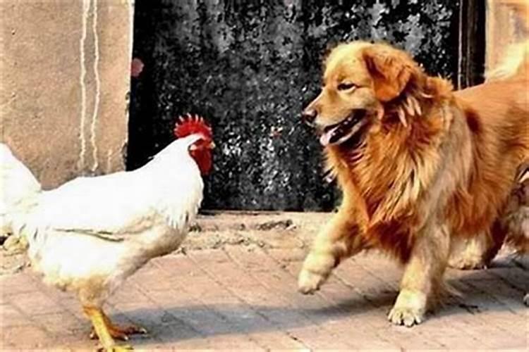 86年虎2025年每月运势