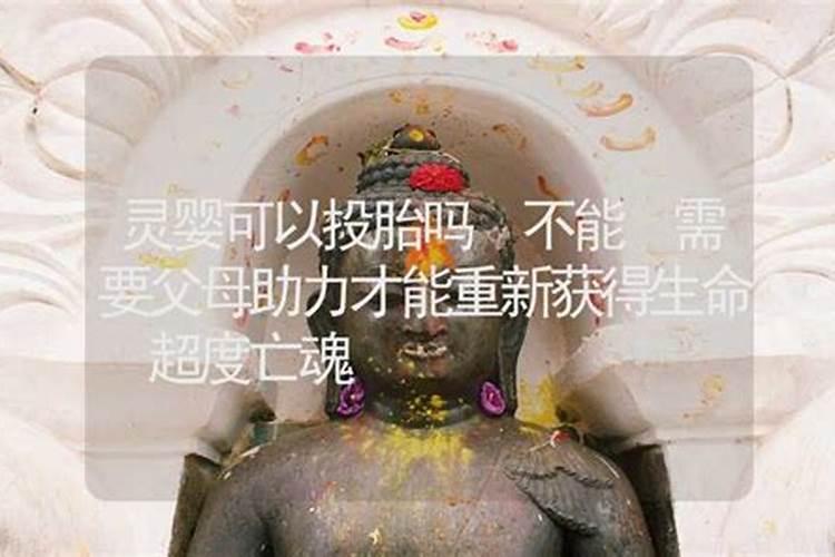 昨晚梦见一条大鱼,跳到我的身边