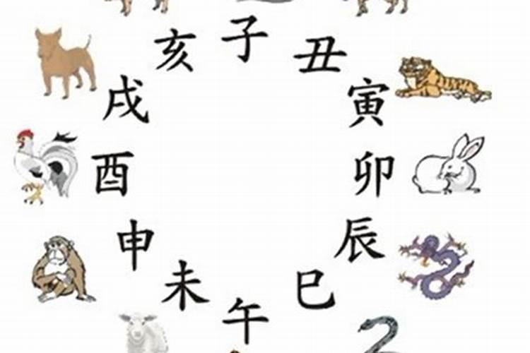 四川广安有道士吗？人在哪里呢？需要收徒吗？