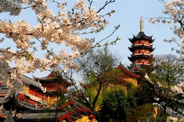 南京八月十五好玩的地方