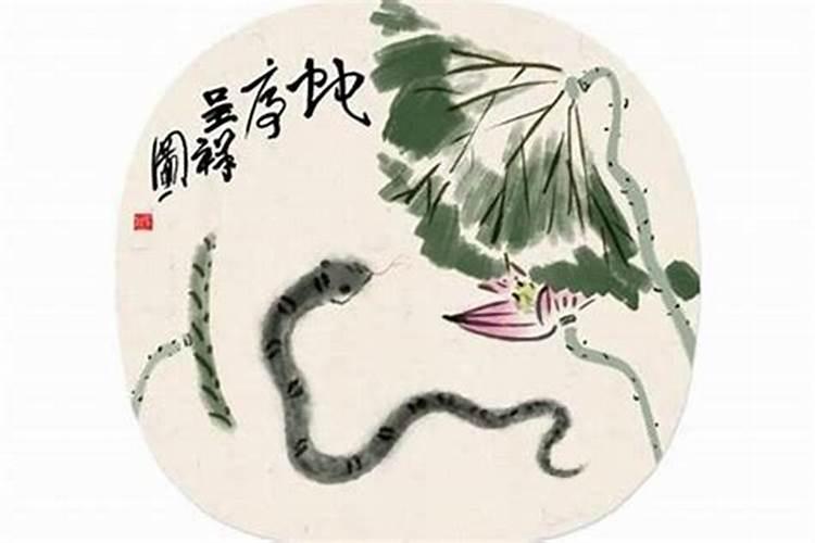 女蛇最佳婚配属相