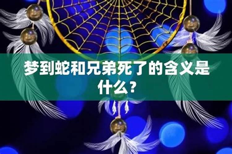 元宵节法律灯谜,敢否一试？