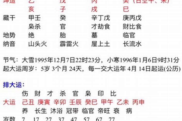 1995年正月初五属猪2015运势