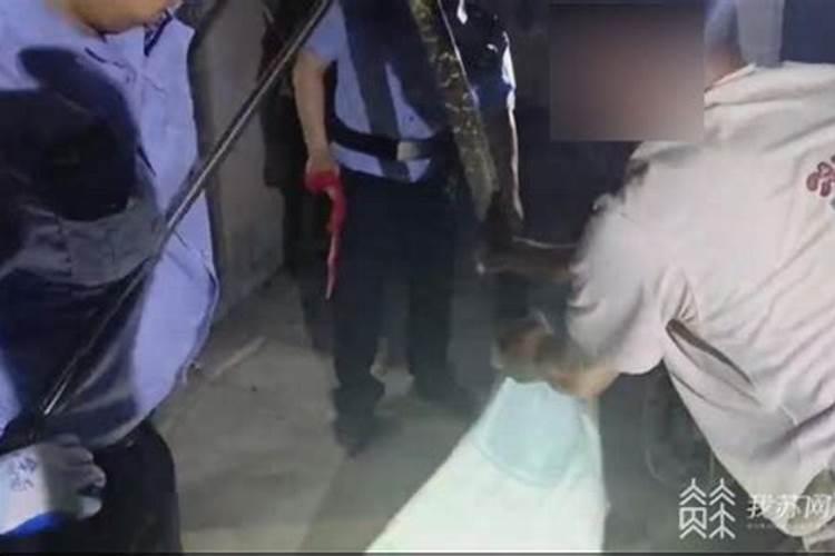 梦见好大一条蛇是什么预兆