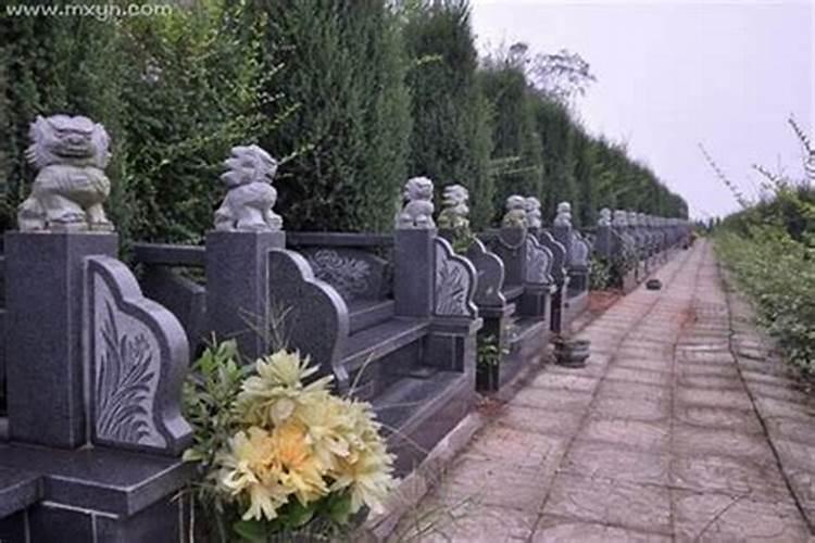 梦到墓地什么预兆梦到墓地好不好
