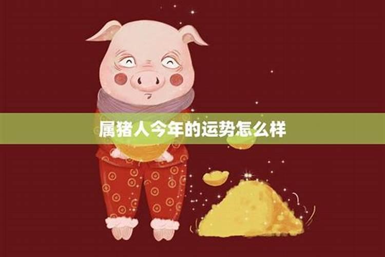 2025年属猪的全年运势