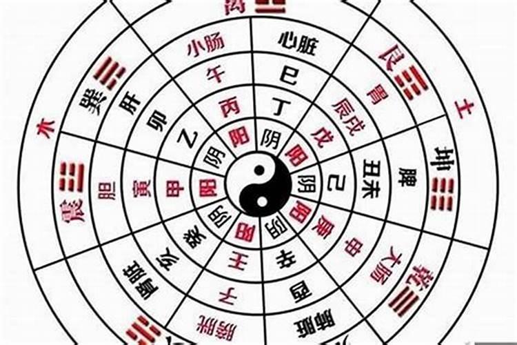 怎么知道自己是阳命还是阴命？
