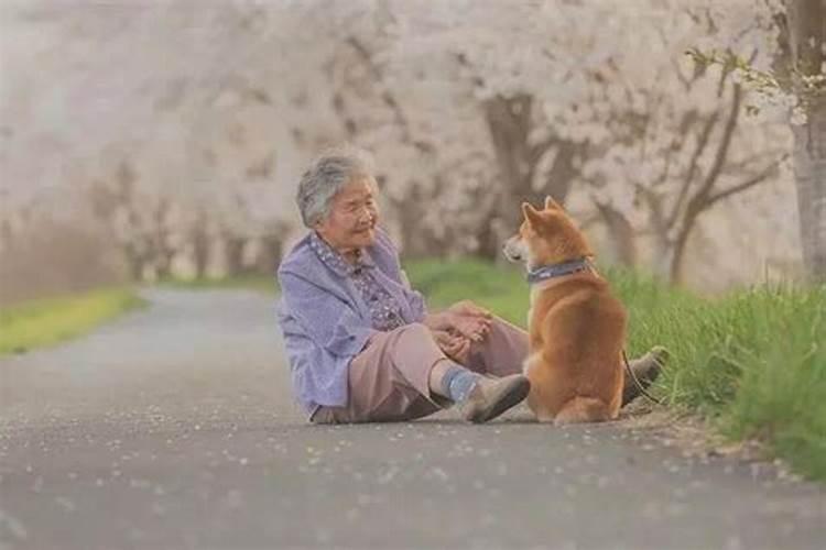 梦见别人死了在棺材里面的预兆