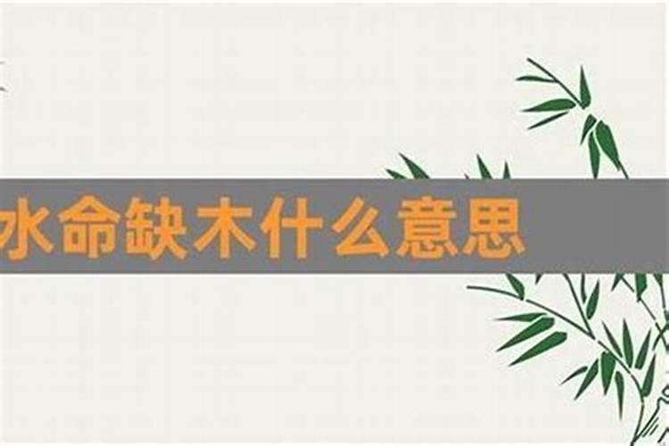 双子座今日运势