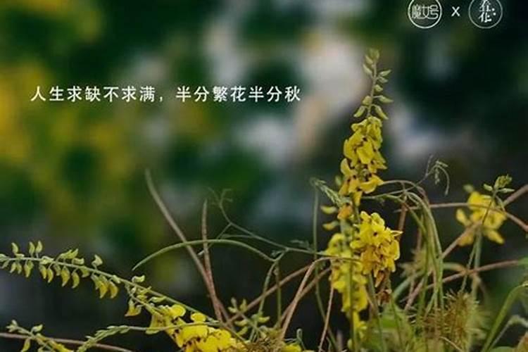 奇门遁甲预测婚姻的常用方法