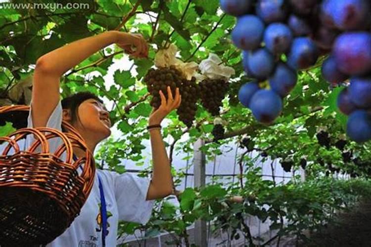 72年属鼠婚配什么属相好,72年属鼠和什么属相最配？