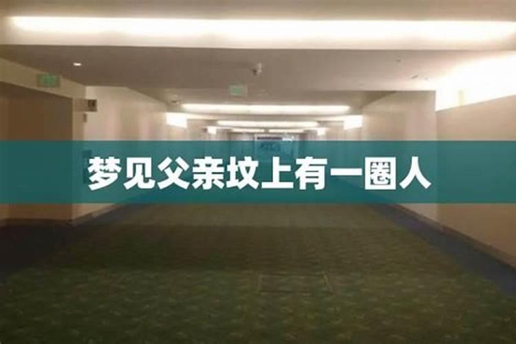 梦见鸟蛋是什么意思