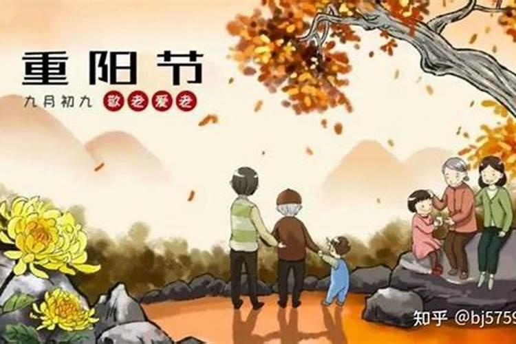 可惜重阳的上一句可惜重阳的上一句是什么