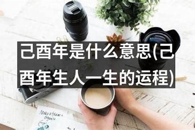 2025年属猪的全年运势