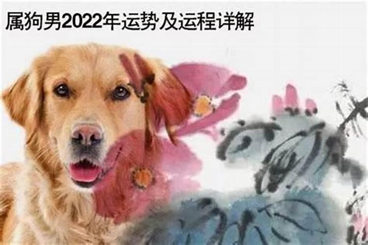 属牛的正月初一出生好吗,属牛人正月出生好吗