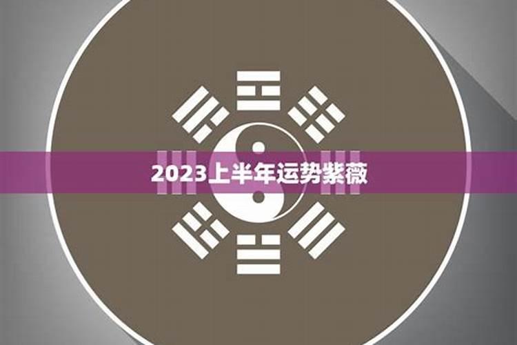 1976年属龙女2025年运势及运程
