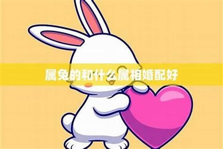 男女姓名配对测姻缘,两人名字测试婚姻？