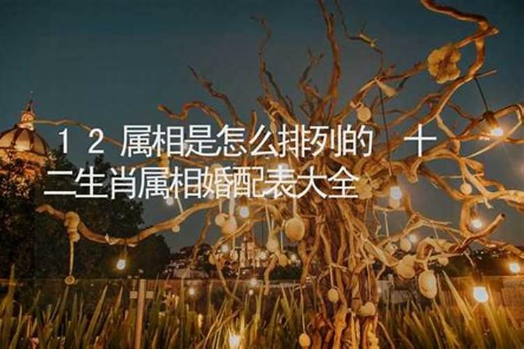 梦见狗咬自己的蛋子