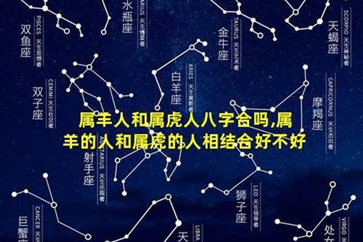 我想求一个法号~