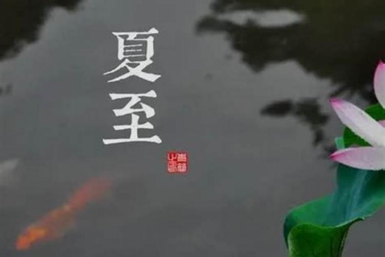 1975属兔2025年的运势及运程