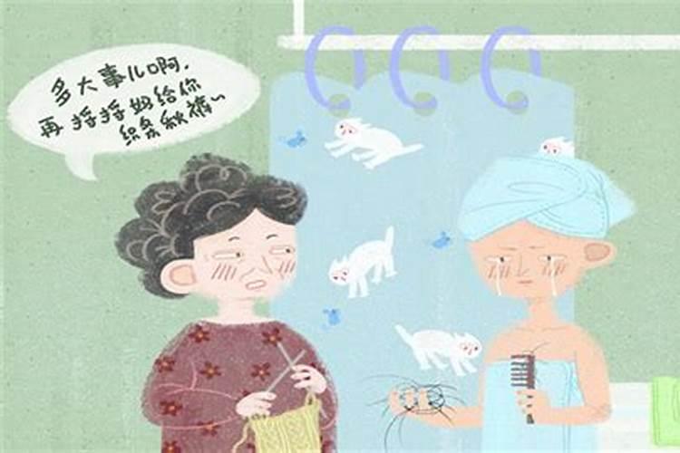 2025年鼠年运势及运程1984