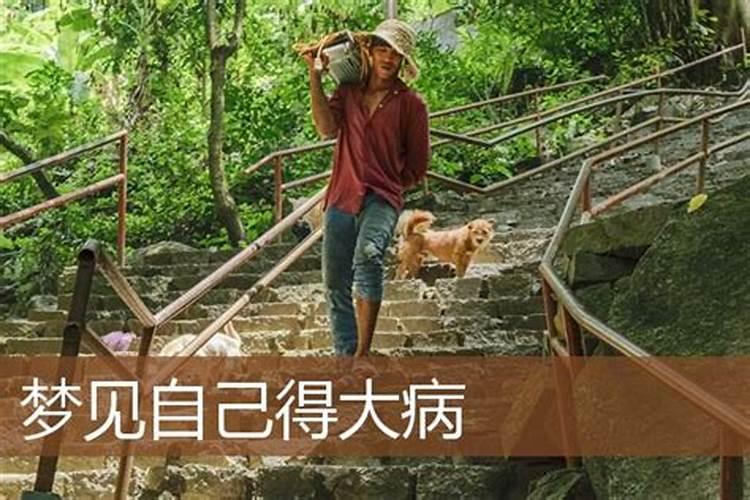 梦见翻车是吉兆发财