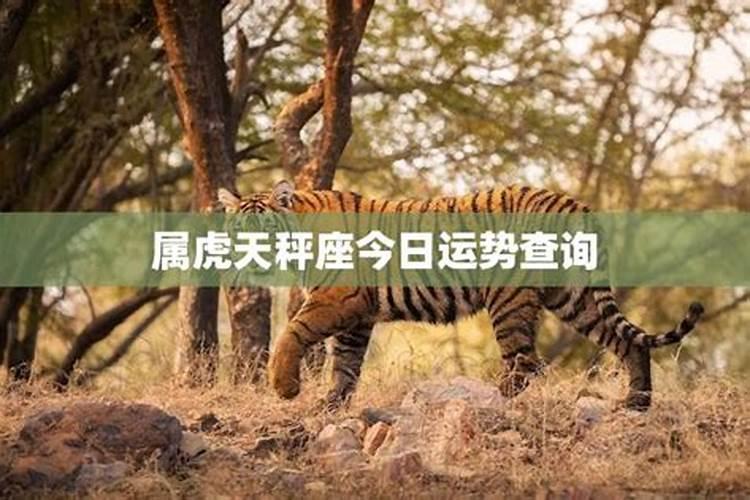 化太岁手串佩戴哪只手