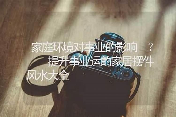属羊的和属狗的在一起会幸福吗？八字不合有破解方法吗