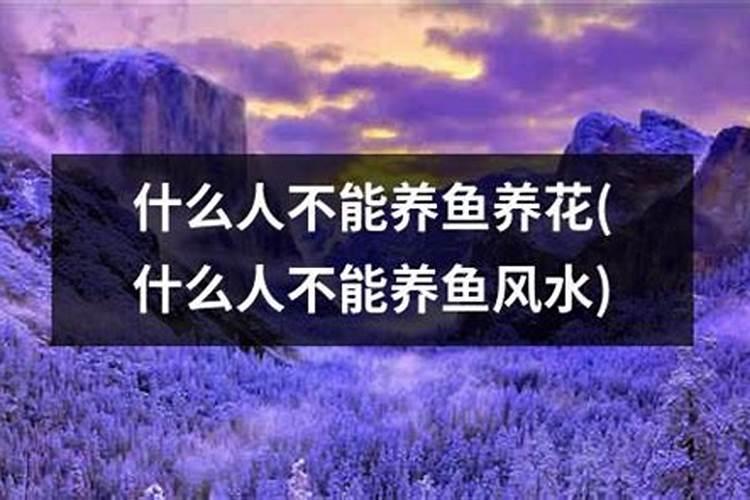 最近运气不好,工作不顺,该怎么办呢？