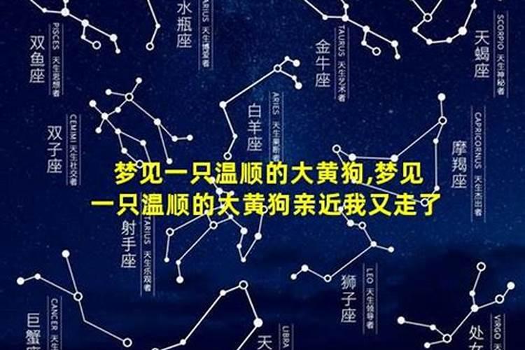 中元节祭祖是否能放鞭炮中元节祭祖能放鞭炮吗